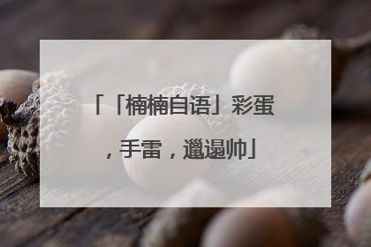 「楠楠自语」彩蛋，手雷，邋遢帅