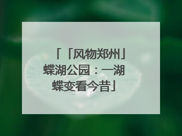 「风物郑州」蝶湖公园：一湖蝶变看今昔