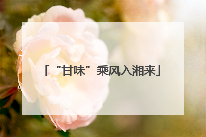 “甘味”乘风入湘来