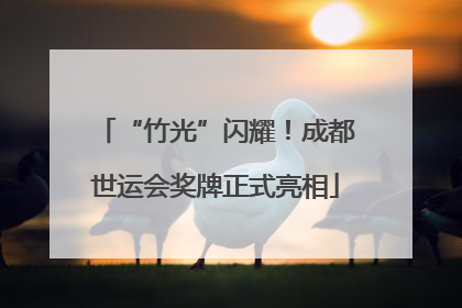 “竹光”闪耀！成都世运会奖牌正式亮相