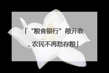 “粮食银行”敞开收，农民不再愁存粮