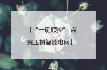 “一键顺控” 点亮玉树智能电网