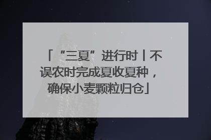 “三夏”进行时丨不误农时完成夏收夏种，确保小麦颗粒归仓