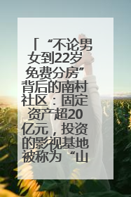 “不论男女到22岁免费分房”背后的南村社区：固定资产超20亿元，投资的影视基地被称为“山村好莱坞”