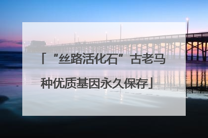 “丝路活化石”古老马种优质基因永久保存