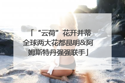 “云荷”花开并蒂 全球两大花都昆明&阿姆斯特丹强强联手