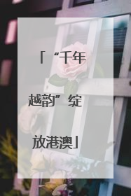 “千年越韵”绽放港澳
