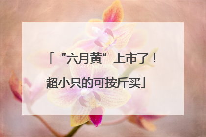 “六月黄”上市了！超小只的可按斤买