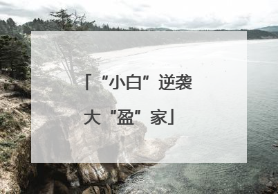“小白”逆袭大“盈”家