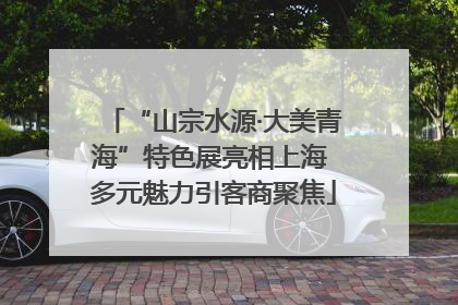 “山宗水源·大美青海”特色展亮相上海 多元魅力引客商聚焦