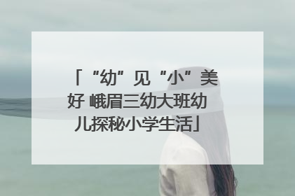 “幼”见“小”美好 峨眉三幼大班幼儿探秘小学生活