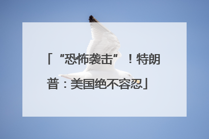 “恐怖袭击”！特朗普：美国绝不容忍