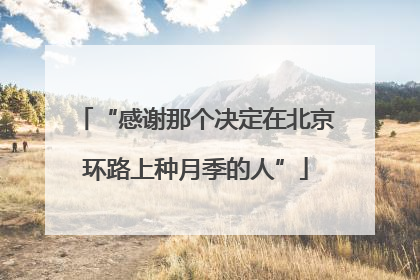 “感谢那个决定在北京环路上种月季的人”
