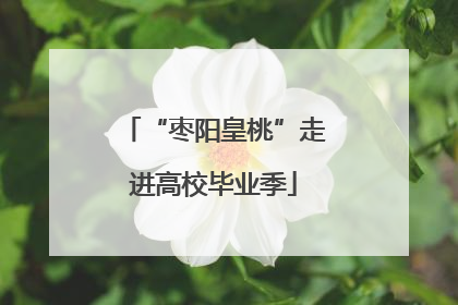 “枣阳皇桃”走进高校毕业季