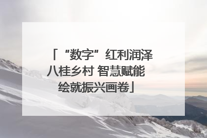 “数字”红利润泽八桂乡村 智慧赋能绘就振兴画卷