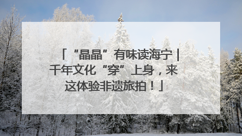 “晶晶”有味读海宁｜千年文化“穿”上身，来这体验非遗旅拍！
