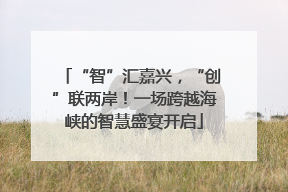 “智”汇嘉兴，“创”联两岸！一场跨越海峡的智慧盛宴开启