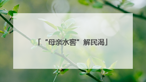 “母亲水窖”解民渴