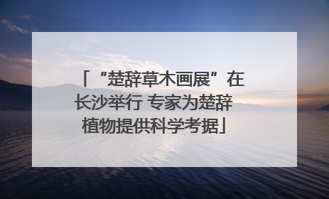 “楚辞草木画展”在长沙举行 专家为楚辞植物提供科学考据