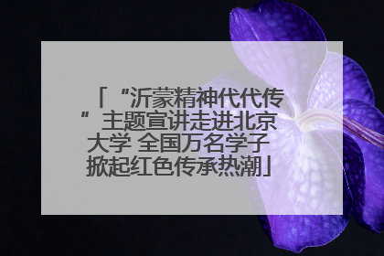 “沂蒙精神代代传”主题宣讲走进北京大学 全国万名学子掀起红色传承热潮