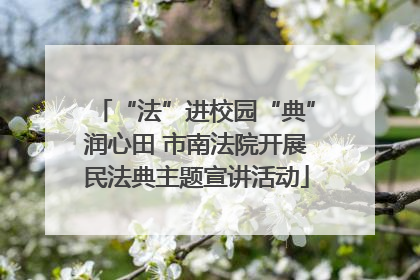 “法”进校园“典”润心田 市南法院开展民法典主题宣讲活动