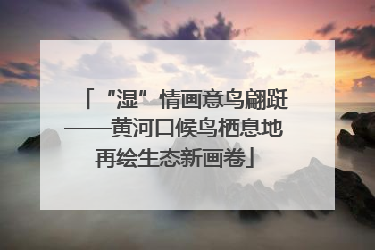 “湿”情画意鸟翩跹——黄河口候鸟栖息地再绘生态新画卷
