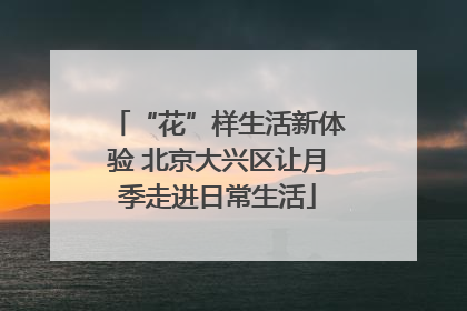 “花”样生活新体验 北京大兴区让月季走进日常生活