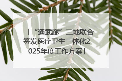 “通武廊”三地联合签发医疗卫生一体化2025年度工作方案
