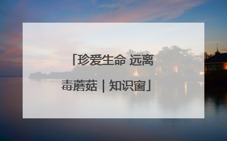 珍爱生命 远离毒蘑菇｜知识窗