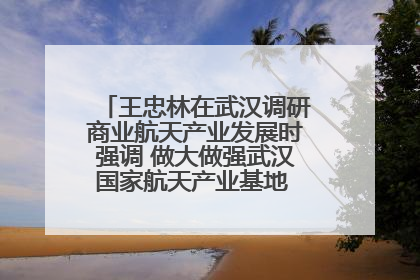 王忠林在武汉调研商业航天产业发展时强调 做大做强武汉国家航天产业基地 打造具有全国影响力的“中国星谷”