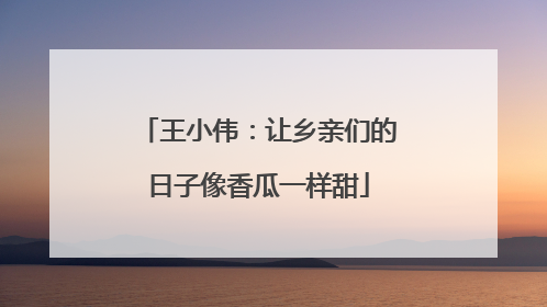 王小伟：让乡亲们的日子像香瓜一样甜