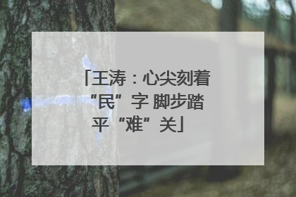 王涛：心尖刻着“民”字 脚步踏平“难”关
