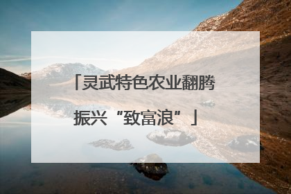 灵武特色农业翻腾振兴“致富浪”