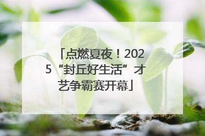 点燃夏夜！2025“封丘好生活”才艺争霸赛开幕
