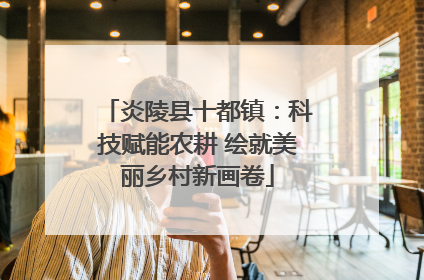 炎陵县十都镇：科技赋能农耕 绘就美丽乡村新画卷