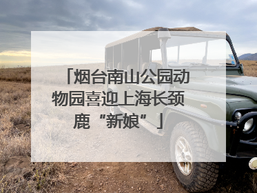 烟台南山公园动物园喜迎上海长颈鹿“新娘”