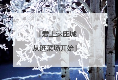 爱上这座城 从逛菜场开始