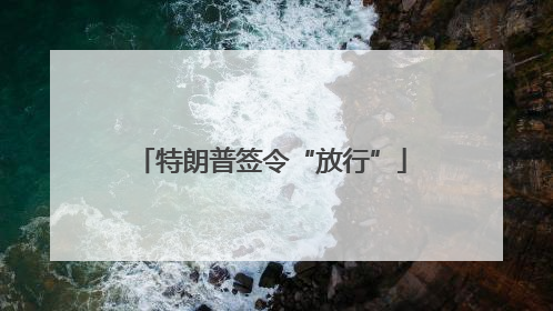 特朗普签令“放行”