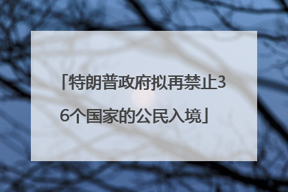 特朗普政府拟再禁止36个国家的公民入境