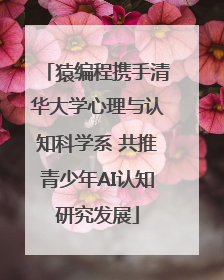 猿编程携手清华大学心理与认知科学系 共推青少年AI认知研究发展