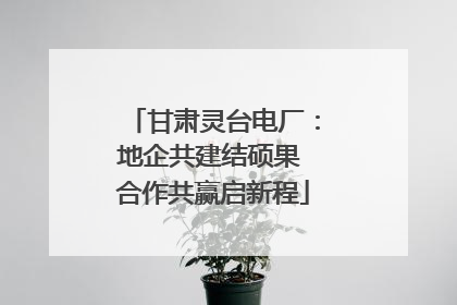 甘肃灵台电厂：地企共建结硕果 合作共赢启新程