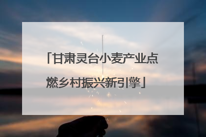 甘肃灵台小麦产业点燃乡村振兴新引擎