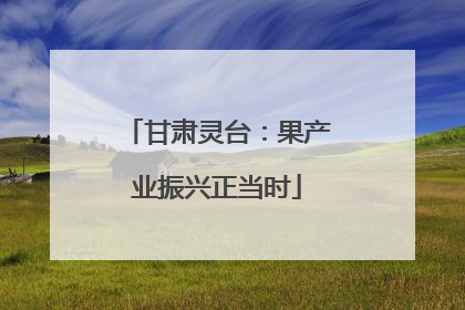甘肃灵台：果产业振兴正当时