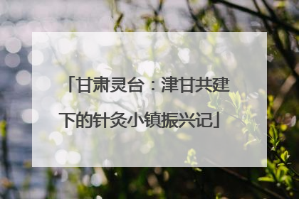 甘肃灵台：津甘共建下的针灸小镇振兴记