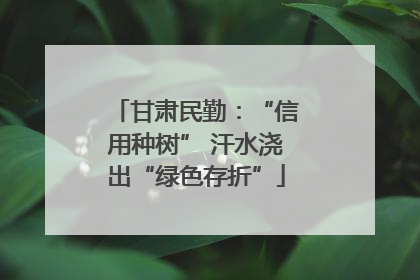 甘肃民勤：“信用种树” 汗水浇出“绿色存折”