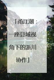 甬江潮：一座县域视角下的浙川协作