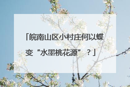 皖南山区小村庄何以蝶变“水墨桃花源”？
