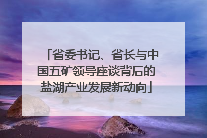 省委书记、省长与中国五矿领导座谈背后的盐湖产业发展新动向