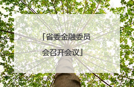 省委金融委员会召开会议