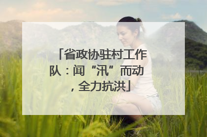 省政协驻村工作队：闻“汛”而动，全力抗洪
